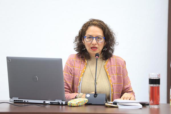 SESIÓN INFOCDMX 240124