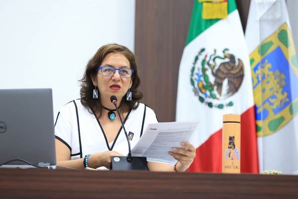 SESIÓN INFOCDMX 130324