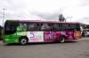 autobus3