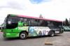 autobus4