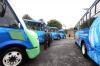autobuses5
