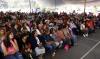 feria7