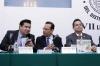 informe1